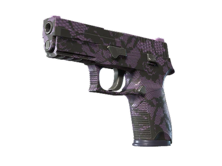 P250 | Plum Netting image