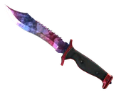 ★ Bowie Knife | Doppler Phase 1 image