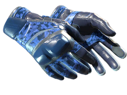 ★ Moto Gloves | Polygon image