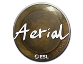 Sticker | Aerial | Katowice 2019 image