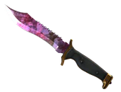 ★ Bowie Knife | Doppler Phase 2 image