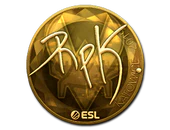 Sticker | RpK (Gold) | Katowice 2019 image