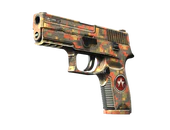 P250 | Red Rock image