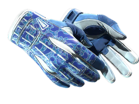★ Sport Gloves | Amphibious image