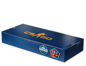 ESL One Cologne 2014 Mirage Souvenir Package image