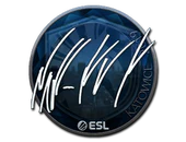 Sticker | NAF (Foil) | Katowice 2019 image