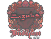 Sticker | Ex3rcice | Budapest 2025 image