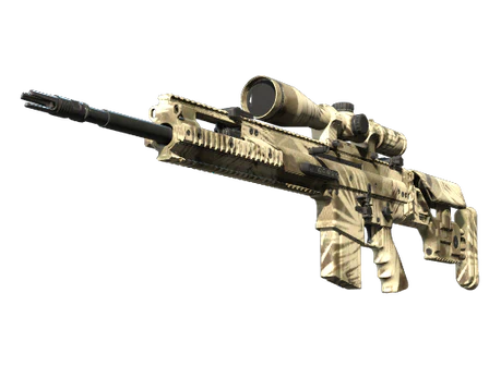 SCAR-20 | Palm image