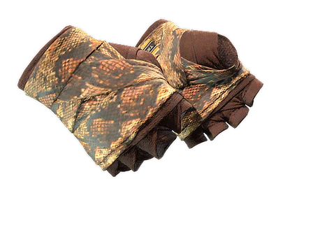 ★ Hand Wraps | Constrictor image