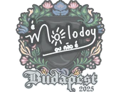 Sticker | molodoy | Budapest 2025 image