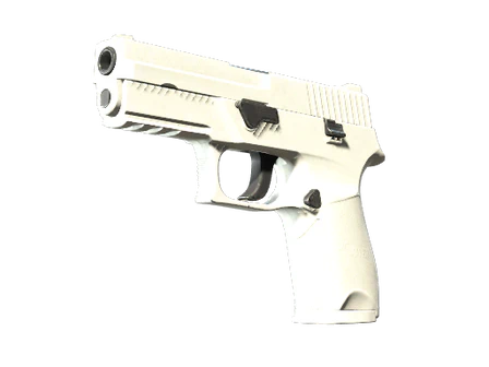 P250 | Whiteout image
