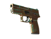 P250 | Verdigris image