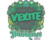 Sticker | vexite | Budapest 2025 image