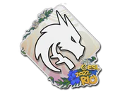 Sticker | Team Spirit | Rio 2022 image