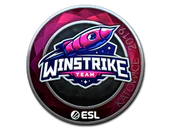 Sticker | Winstrike Team (Foil) | Katowice 2019 image