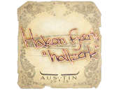 Sticker | hallzerk | Austin 2025 image