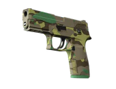 P250 | Boreal Forest image