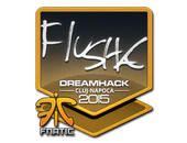 Sticker | flusha | Cluj-Napoca 2015 image