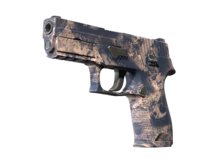 P250 | Drought image