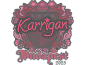 Sticker | karrigan | Budapest 2025 image