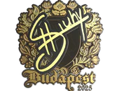 Sticker | siuhy (Gold) | Budapest 2025 image