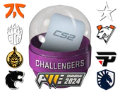 Shanghai 2024 Challengers Sticker Capsule image