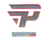 Sticker | paiN Gaming (Holo) | Copenhagen 2024 image