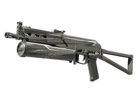 PP-Bizon | Bizoom image
