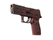 P250 | Contaminant image