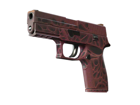 P250 | Contaminant image