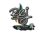 Sticker | roeJ (Glitter) | Antwerp 2022 image