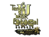 Sticker | sk0R (Gold) | Antwerp 2022 image